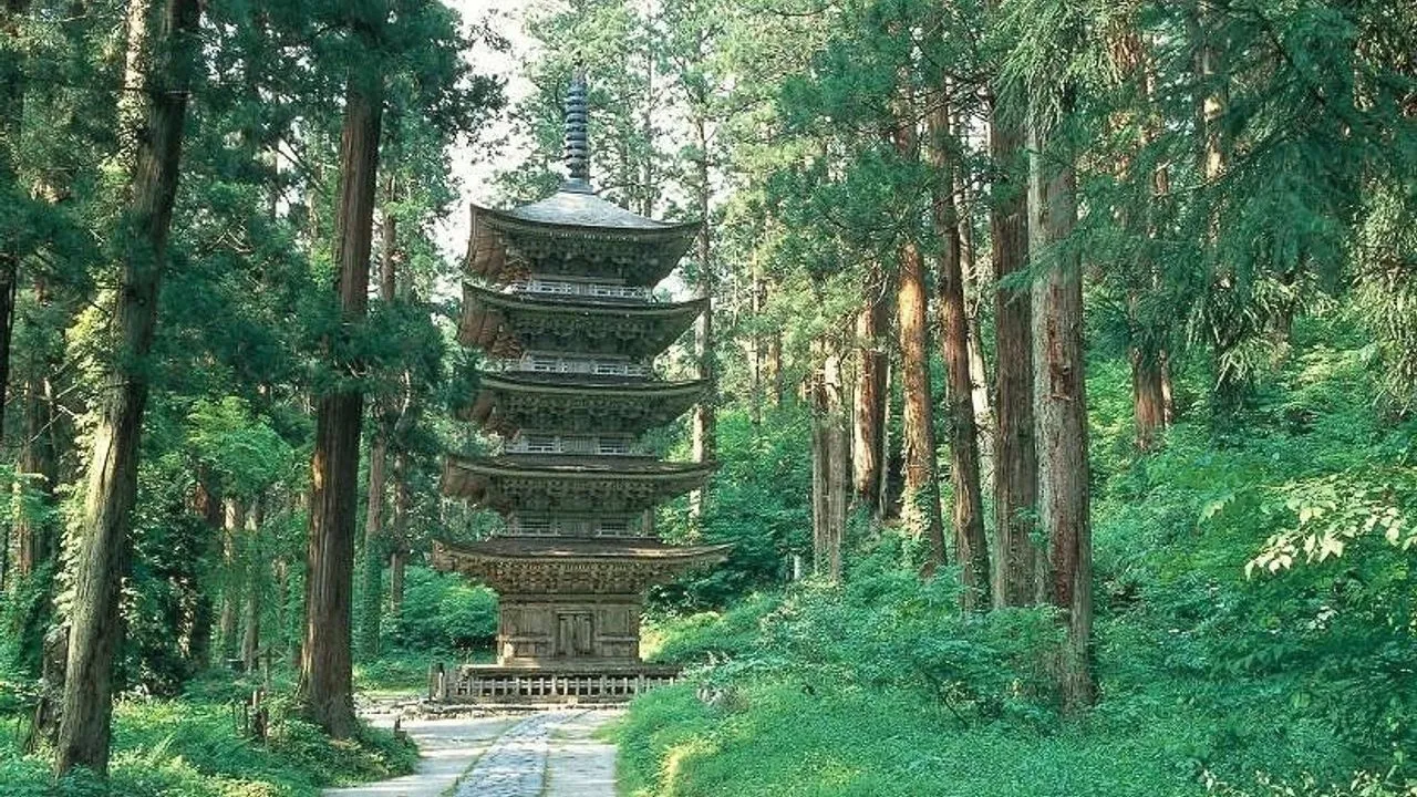 A five-storey pagoda among tall cedar trees in a green forest