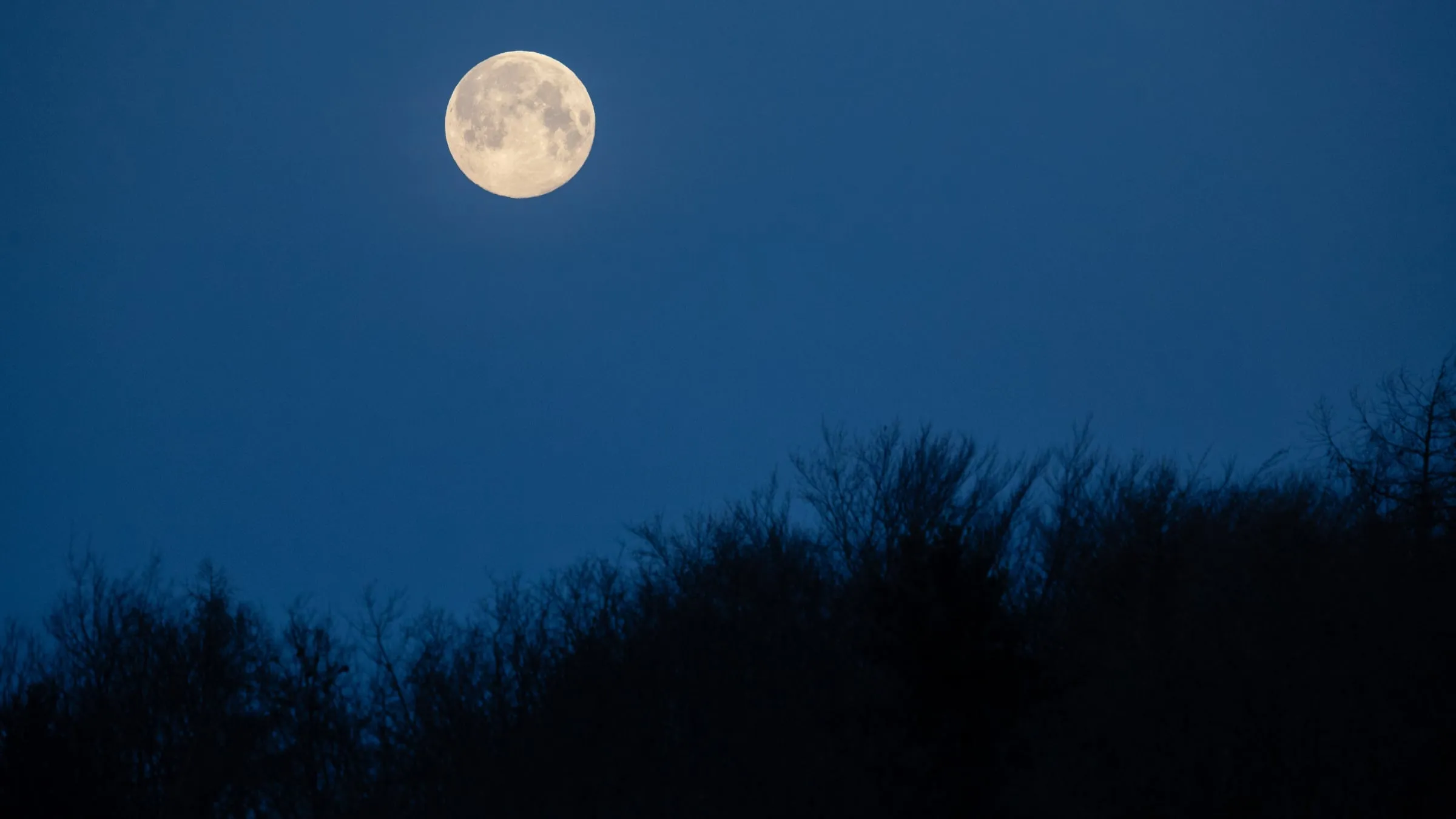 Full Moon on the Horizon