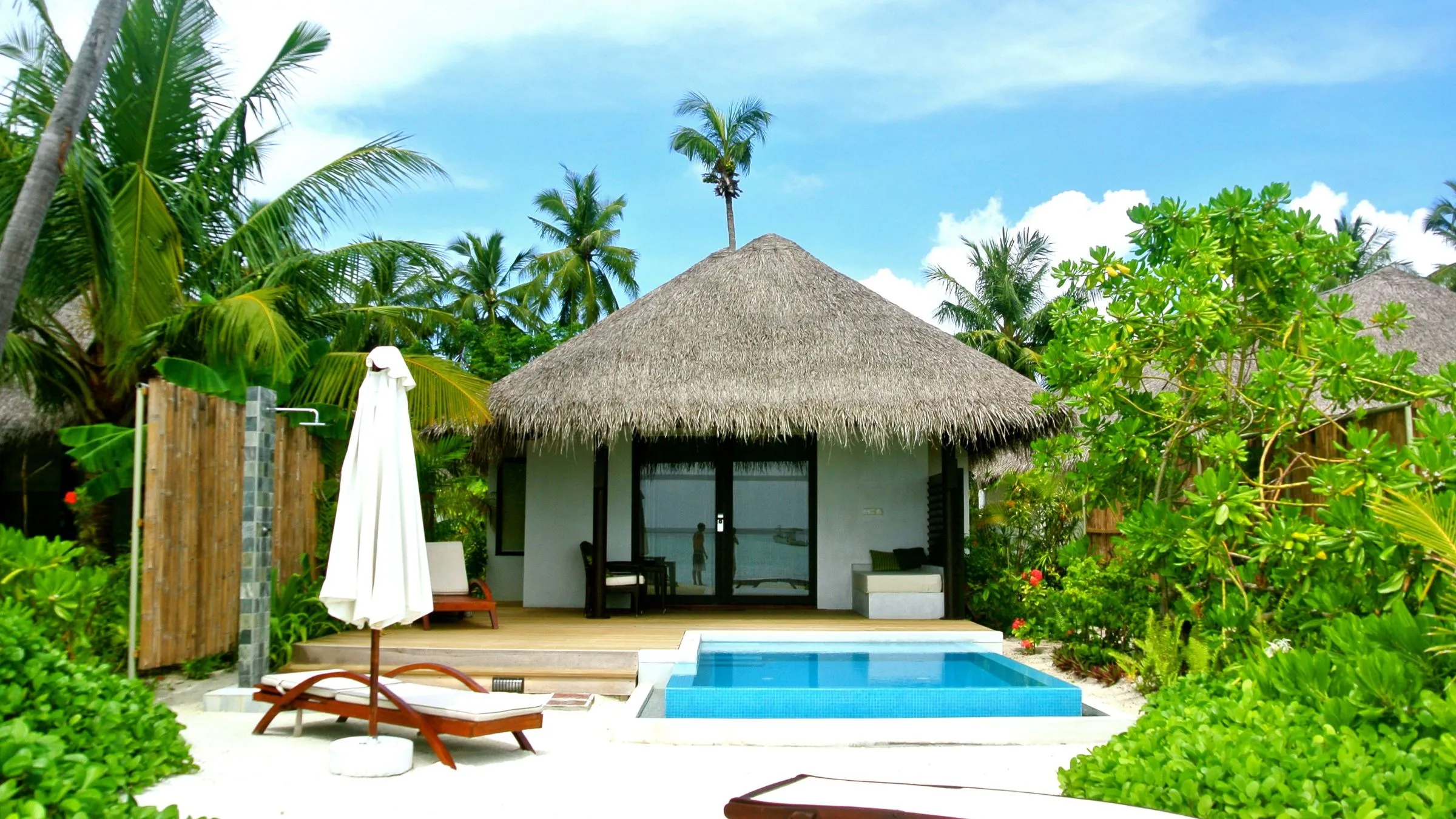 A thatched beach bungalow with a plunge pool among palm trees.