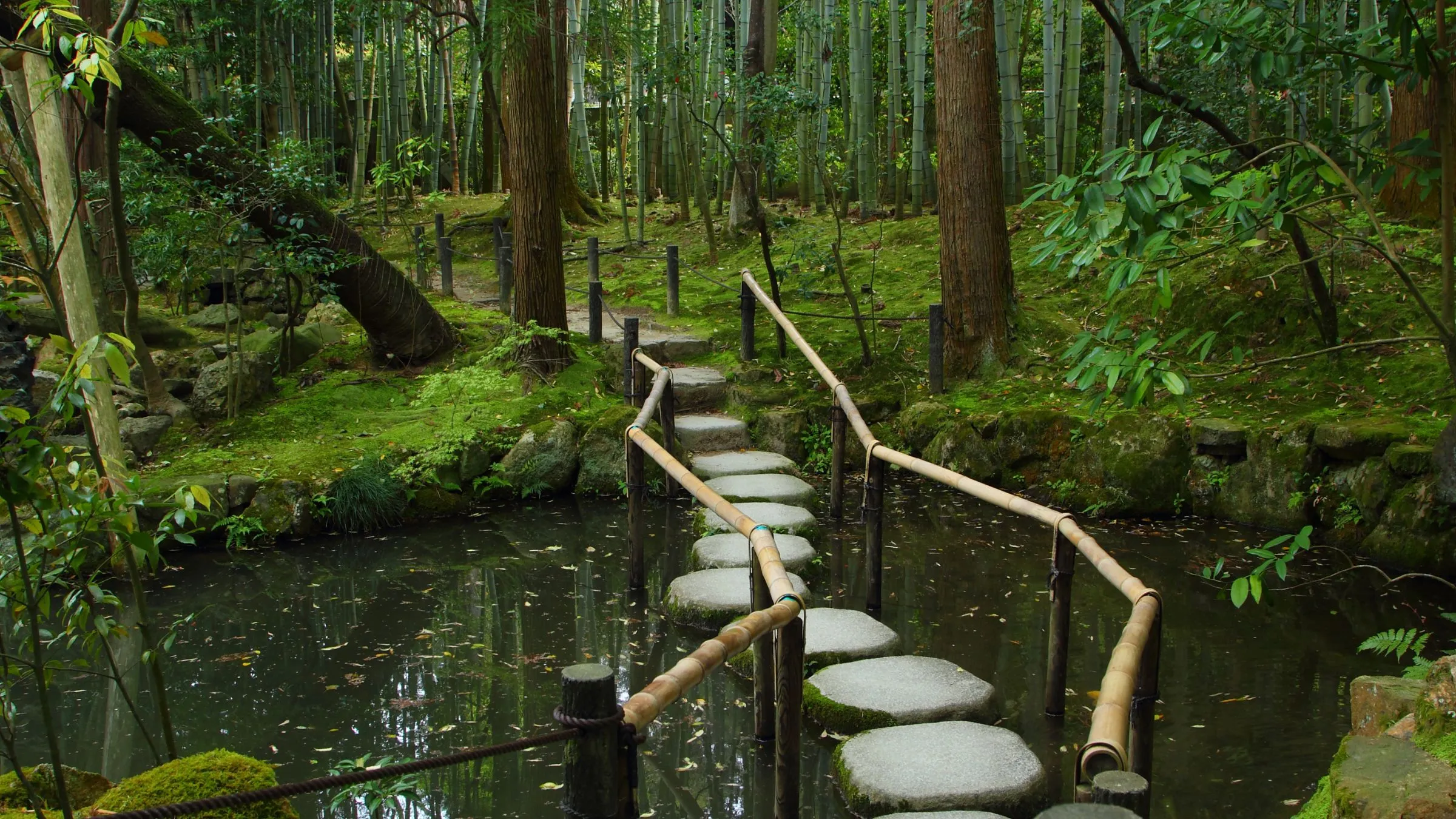 Stepping stones crossing a pond in a green forest.