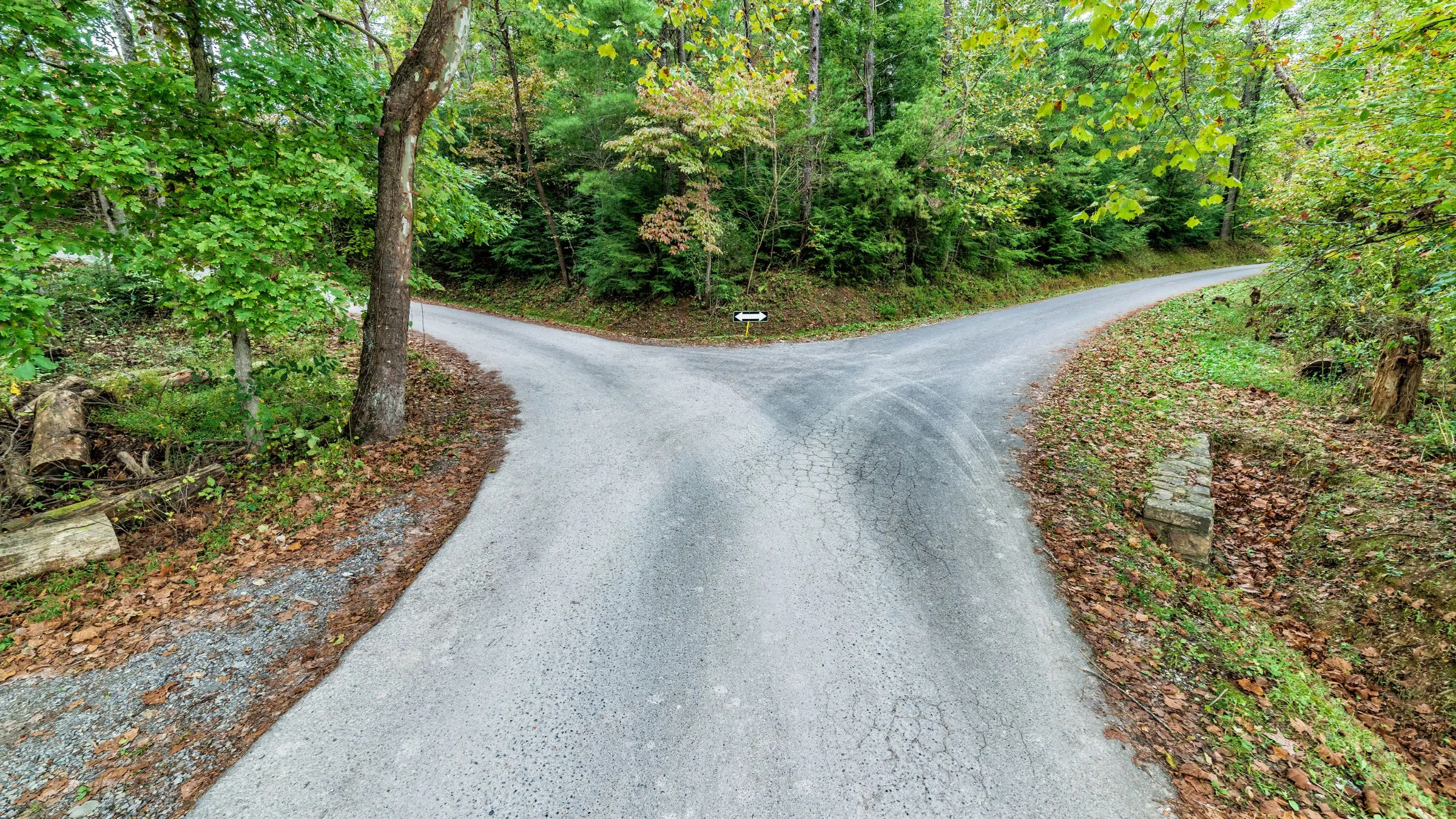 A paved country road splitting in two through green woods.