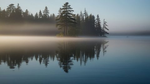 Pine trees and morning mist reflected in a still lake.