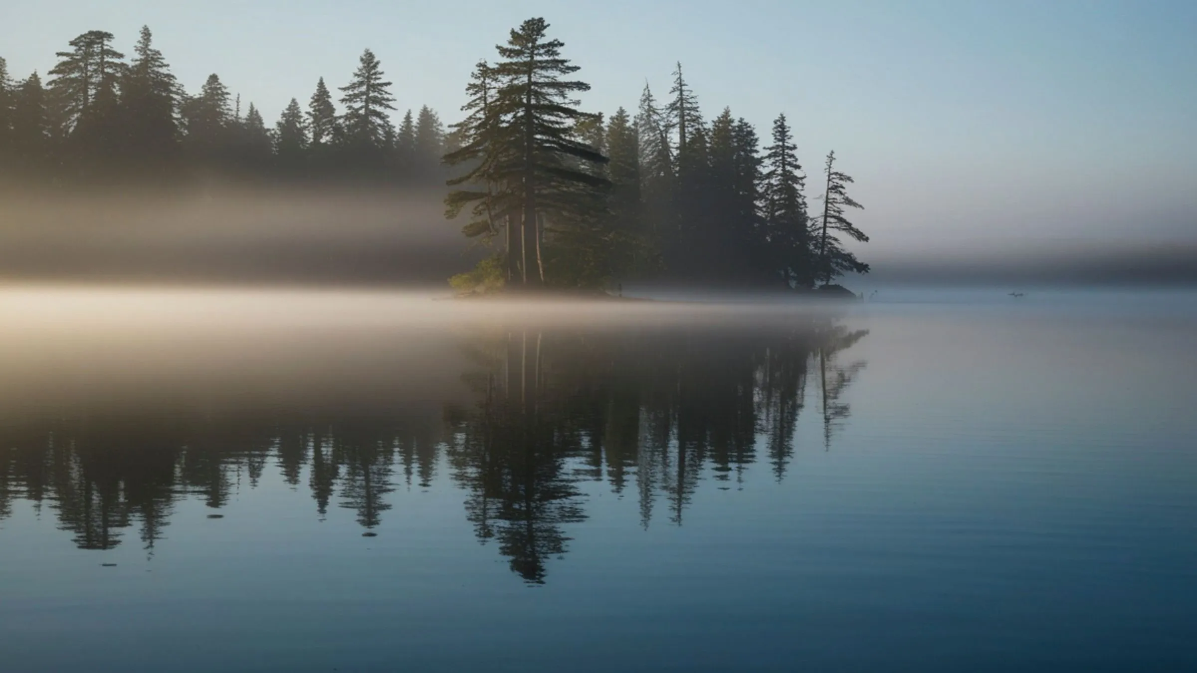 Pine trees and morning mist reflected in a still lake.