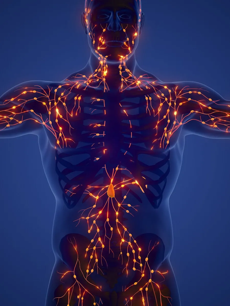 Illustration of a human body with glowing orange lymphatic vessels and nodes against a dark blue background.
